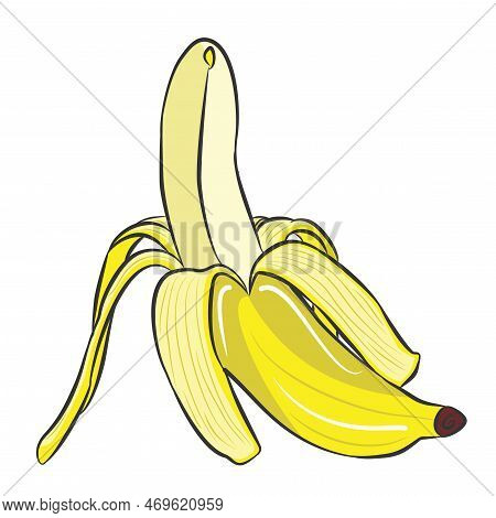 Simple Banana Fruit Fresh And Healty Illustration