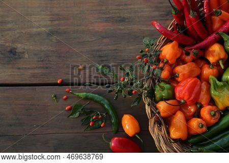 Many Different Fresh Chilli Peppers On Wooden Table, Flat Lay. Space For Text