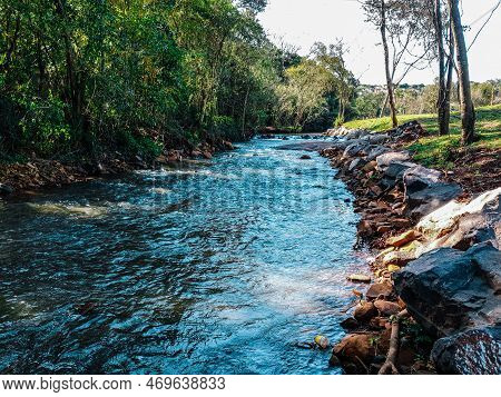 River In The Forest On The Banks Of A Green Plain