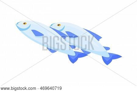 Two Blue Fish. Natural And Organic Product, Fish Farming For Sale. Nature And Fauna, Marine Inhabita