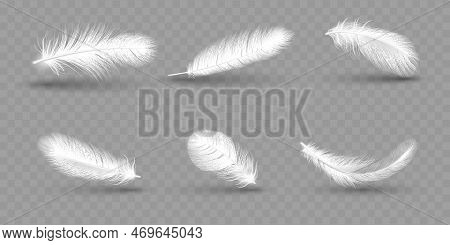 Realistic White Soft Goose Feathers. Fluffy Falling Wing, Bird Plume, Duck Fluff, Hen Or Swan Weight