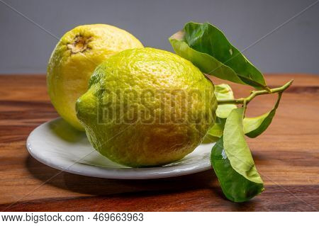 Lemon Citron Cedrate Or Citrus Medica, Large Fragrant Citrus Fruit With Thick Rind