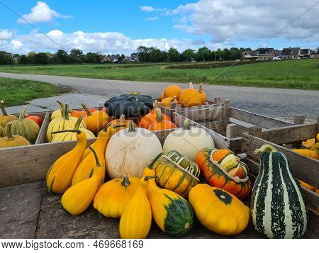 Different Pumpins On A Wooden Cart In The Countryside From The Netherlands