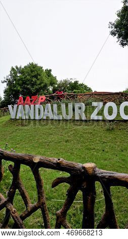 Vandalur,tamilnadu,india-october 04 2022: Arignar Anna Zoological Park Is One Of The Modern And Scie