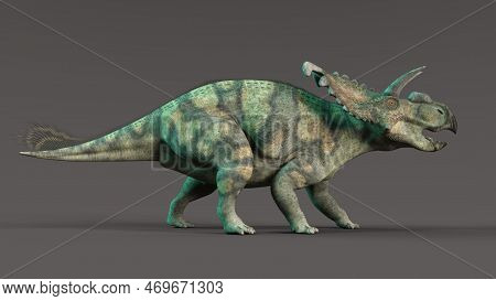 3d-illustration Of An Isolated Extincted Dinosaur Albertaceratops