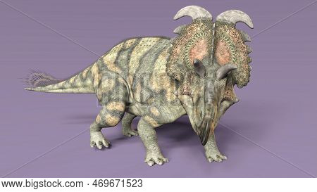 3d-illustration Of An Isolated Extincted Dinosaur Albertaceratops