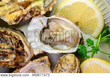 Eating Of Fresh Big Raw Zeeuwse Creuse Dutch Oysters From Zeeland, Netherlands