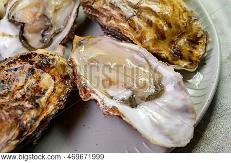 Eating Of Fresh Big Raw Zeeuwse Creuse Dutch Oysters From Zeeland, Netherlands