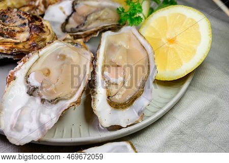 Eating Of Fresh Big Raw Zeeuwse Creuse Dutch Oysters From Zeeland, Netherlands