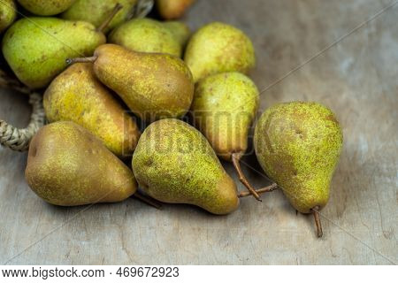 Pears In Basket On A Wooden Background. Fruit Harvest. Autumn Still Life. Pear Variety Bera Conferen