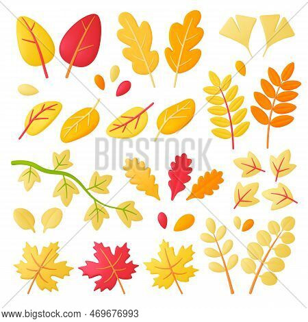 Autumn 3d Leaves, Forest Yellow Leaf Renderings. Seasons Fall Plants, Isolated Decorative Nature Gra