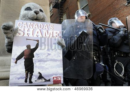 G20 Protest in Toronto.