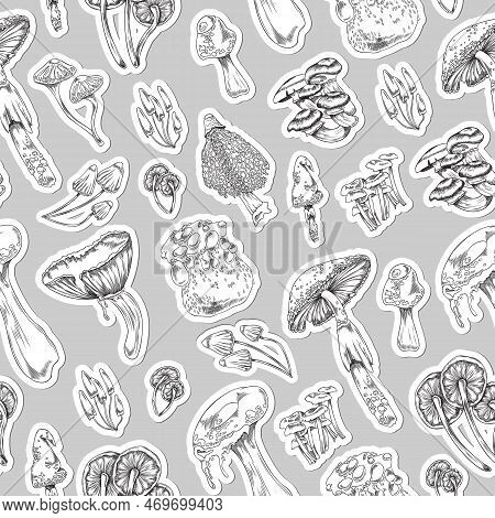 Seamless Pattern Design With Mushrooms And Toadstools, Vector Illustration.