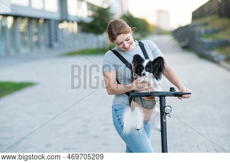 A Woman Rides An Electric Scooter With A Dog In A Backpack. Pappilion Spaniel Continental In A Sling