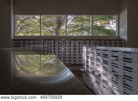 Bangkok, Thailand - 28 Jan, 2023 - Windows View With Big Tree Background In White Mailroom For Resid