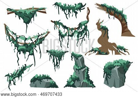 Moss And Lichens Set Graphic Elements In Flat Design. Bundle Of Swamp Green Lichen On Tree Trunks An