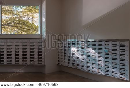 Windows View With Big Tree Background In White Mailroom For Resident In Condominium Or Apartment. Po