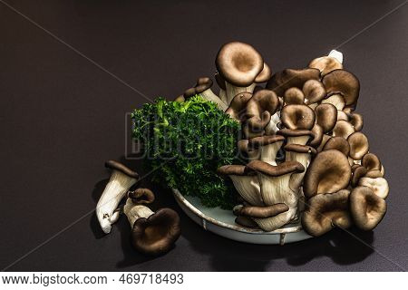 Delicious Organic Oyster Mushrooms With Fresh Parsley. Source Of Beta Glucan, Black Stone Background