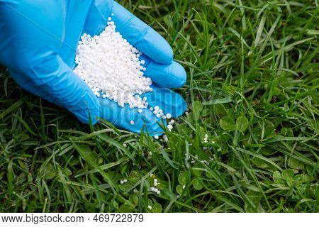 Fertilizing Lawn With Nitrates Concept. Close Up Of Hand Spreading Granular Nitrogen Fertilizer On T