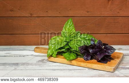 Purple And Green Basil On Cuttng Board On Rustic Wooden Table. Selective Focus. View With Copy Space