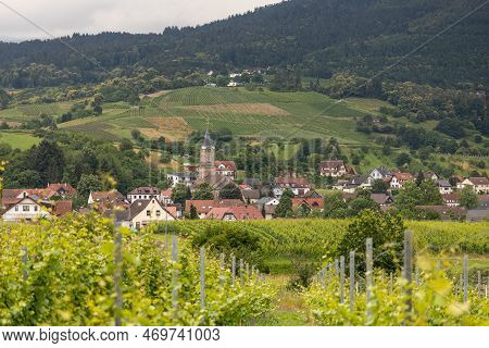 View From The Vineyard Into The Buehler Valley
