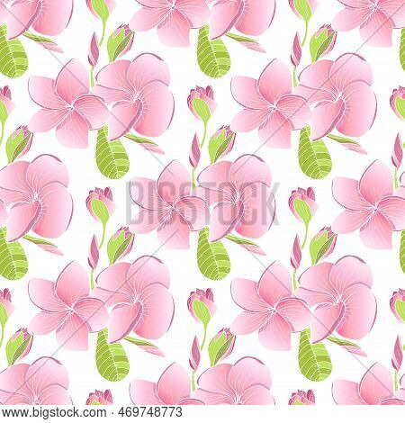 Tropical Exotic Plumeria Flowers In Simple Elegant Style. Decorative Of Frangipani Floral Seamless P