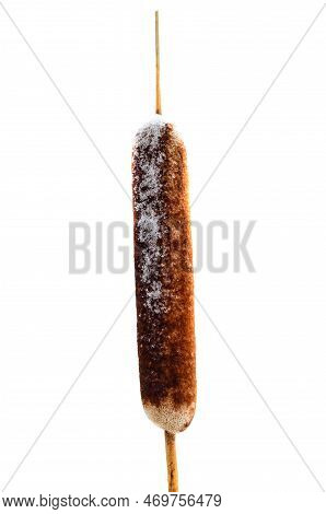 Mature Flower Spike Of The Bulrush Plant On Winter Isolated On White