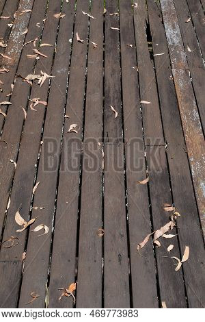 Dangerous, Rotted, Unvarnished, Wooden Decking Floorboards With Holes, Gaps And Dry Leaves, In An Ou