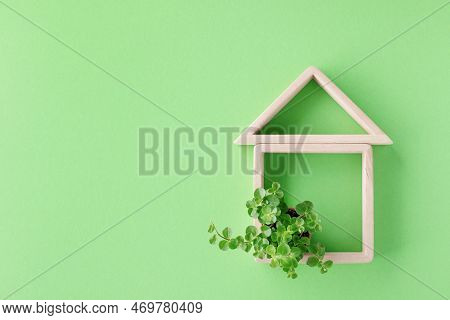 Wooden Small House With Houseplant Peperomia In Flowerpot On Green Background Top View. Eco Living A