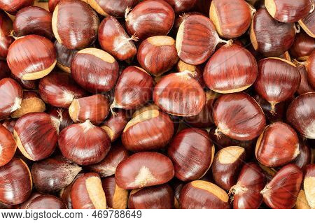 Ripe Chestnuts Close Up. Sweet Raw Chestnuts. Husked Chestnuts. Organic Food. Food Background