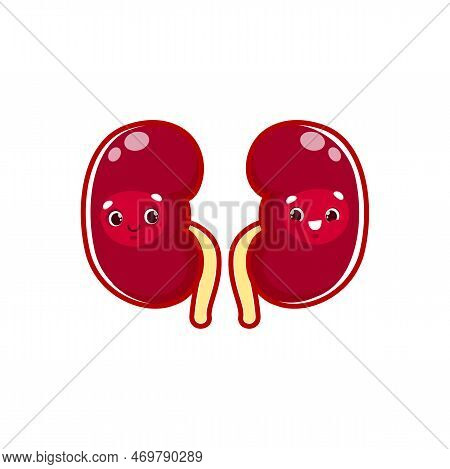Cartoon Kidneys Human Body Organ Character. Vector Anatomical Personage With Cute Smiling Face. Rein