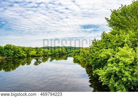 Beautiful Grass Swamp Reed Growing On Shore Reservoir In Countryside