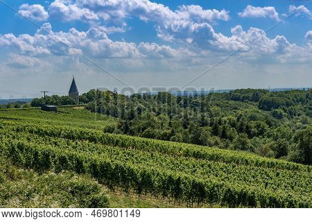 Floersheimer Warte, Viewpoint In The Vineyards Of Wicker