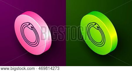 Isometric Line Magic Symbol Of Ouroboros Icon Isolated On Purple And Green Background. Snake Biting 