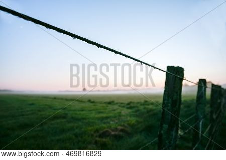 Blue Hour New Zealand Rural Sunrise With Defocused Background And Dew On Fence Wire In Wairarapa.