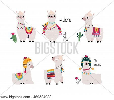 Pretty Wolly Llama Or Alpaca Wearing Knitted Hat And Blanket In Different Pose Vector Set