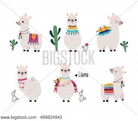 Pretty Wolly Llama Or Alpaca Wearing Knitted Blanket In Different Pose Vector Set