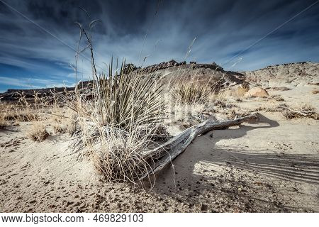A View Of The Ojito Wilderness Area.