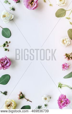 A Image Of Avalanche Roses Frame On White Background