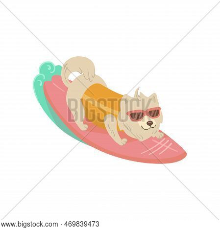 Funny Comic Volpino Dog On Surfing Board Vector Illustration. Portrait Of Cute Puppy Cartoon Charact