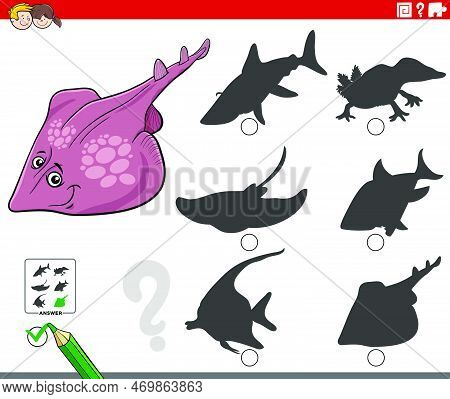 Cartoon Illustration Of Finding The Right Picture To The Shadow Educational Game For Children With X