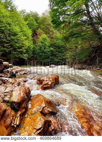 The Rapid Flow Of The River In The Forest. Wild Creek With Turbulent Water. The Rapid River Between 
