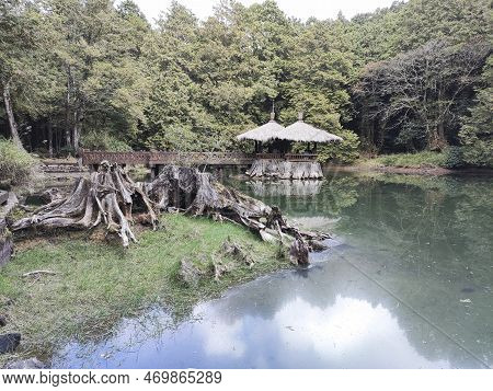 Alishan, Taiwan- 7 Dec, 2022: Landscape Of Sister Ponds In Alishan National Forest Recreation Area I