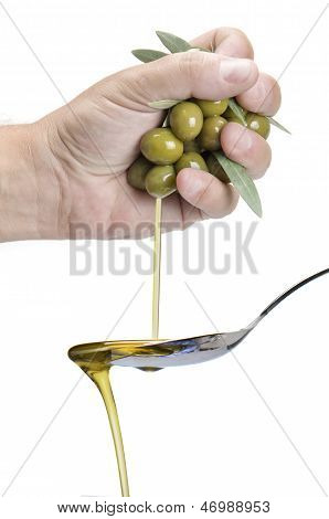 Kun olivenolie