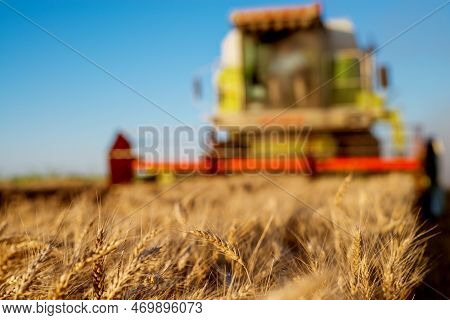 Harvesting Machine Working At Field In Sunny Morning. Agriculture Concept. Combine Harvester At Whea