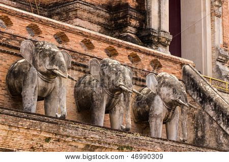 Fil heykeli, Wat Chedi Luang Tayland tapınak