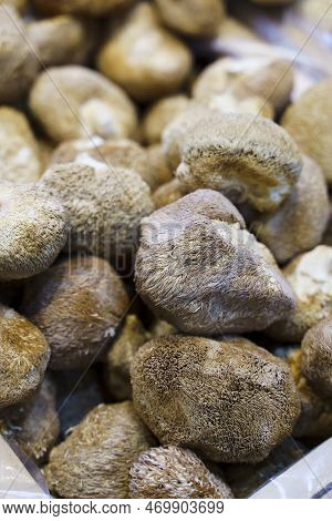 Lions Mane Mushroom. Dried Hericium Erinaceus For Cooking In Chinese Cuisine. Selected Focus