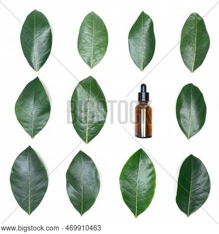 Top View Glass Bottle Dropper Oil Serum With Flat Lay Green Leaves On Wood Background.concept Idea F