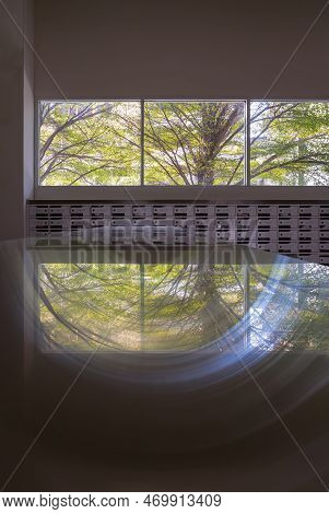 Windows View With Big Tree Background In White Mailroom For Resident In Condominium Or Apartment. Po