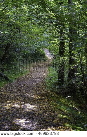 Path In The Park Of Lambro Valley, Brianza, Italy